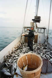 chesapeake bay photographers vacation